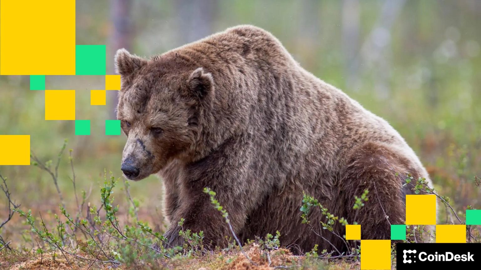 Crypto firms are ditching hundreds of workers to bet the house on AI