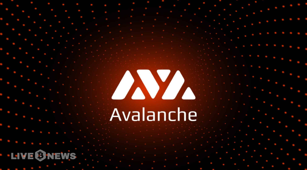 Avalanche Builders Bring Real Use Cases to DC